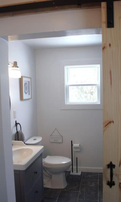 Private Cottage With Huge Private Dog Park! Barrys Bay 외부 사진